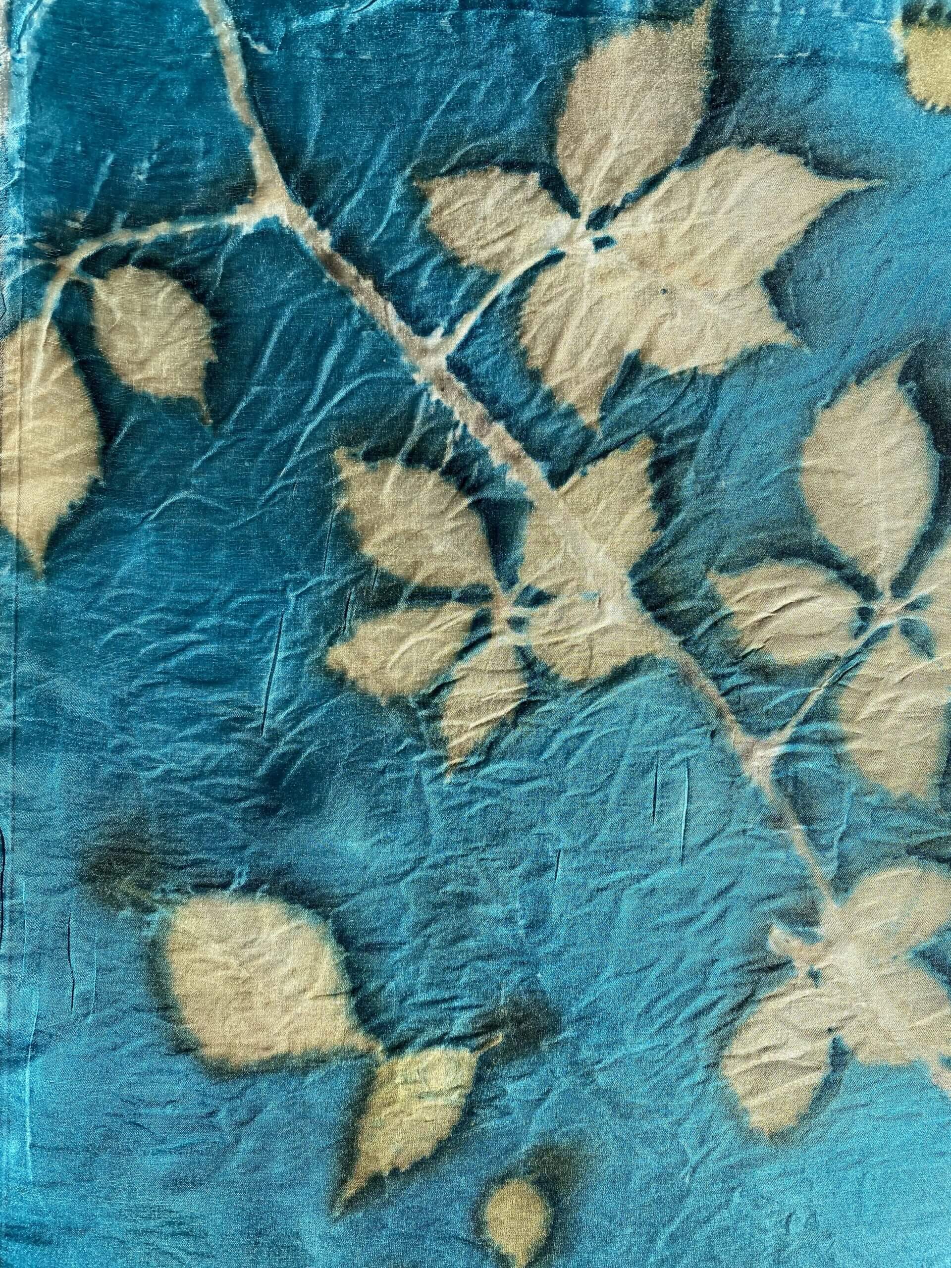 On a sunny Sunday morning