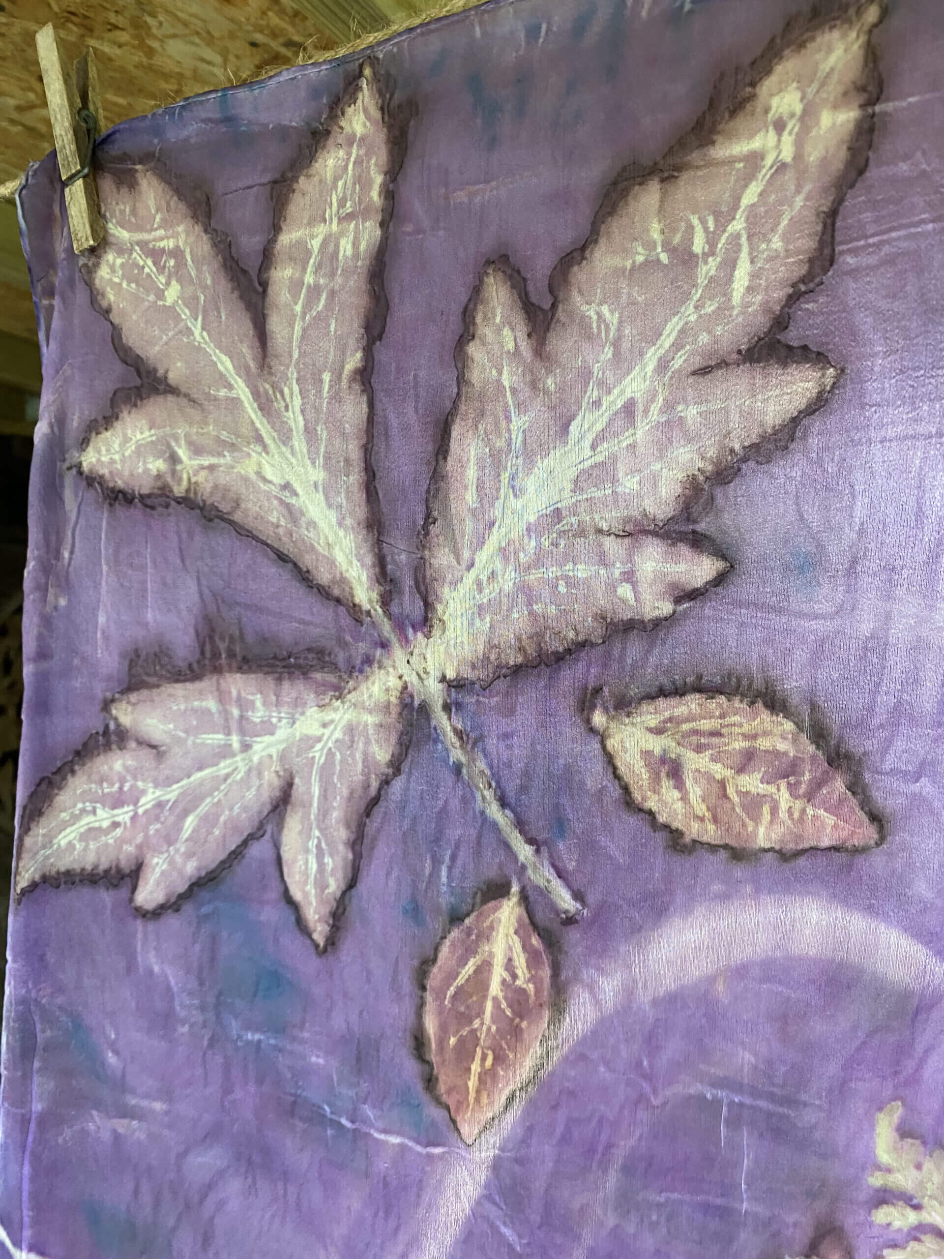 Purple rain met pioen