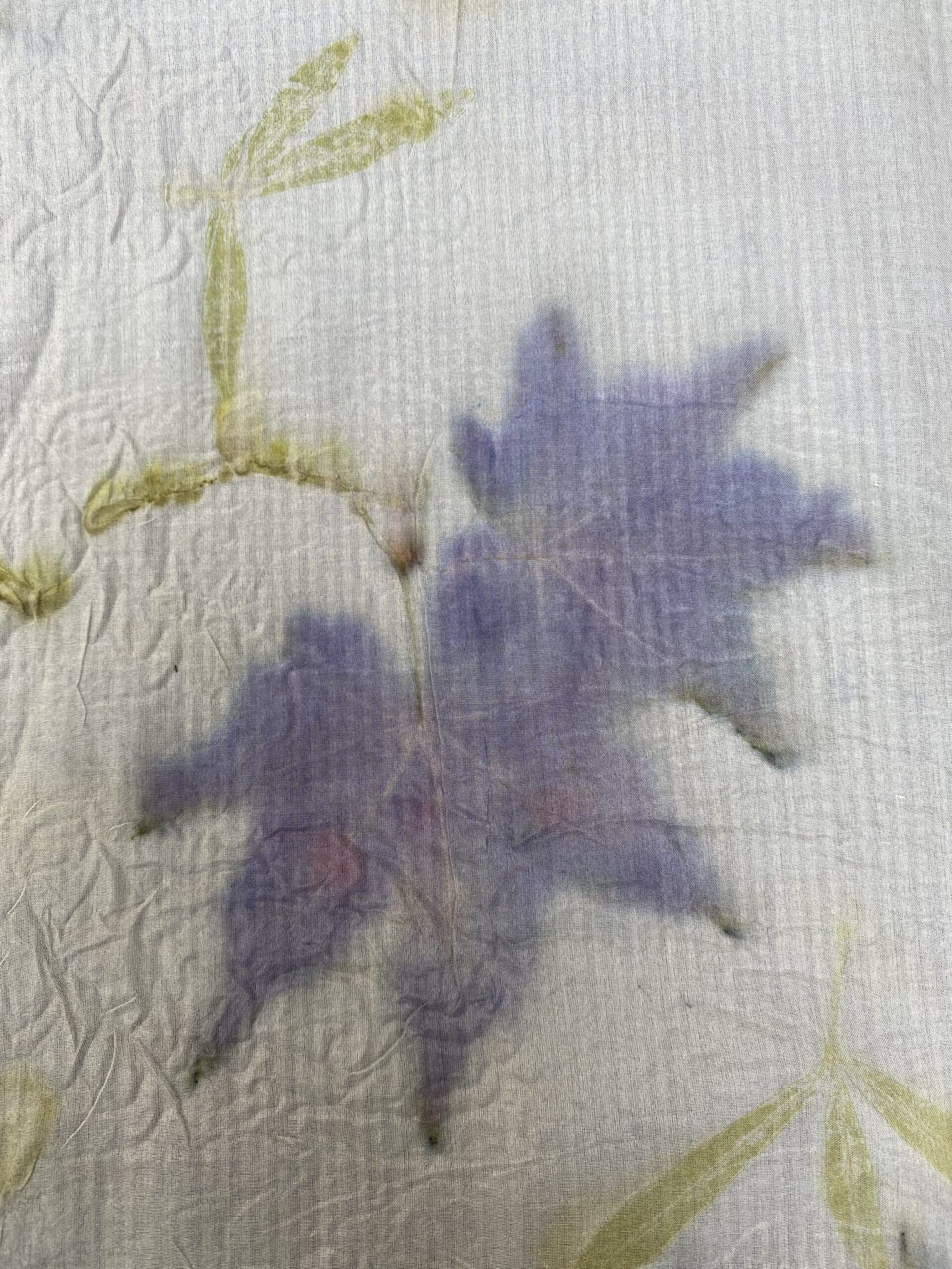 Like magic! – Zo bijzonder!