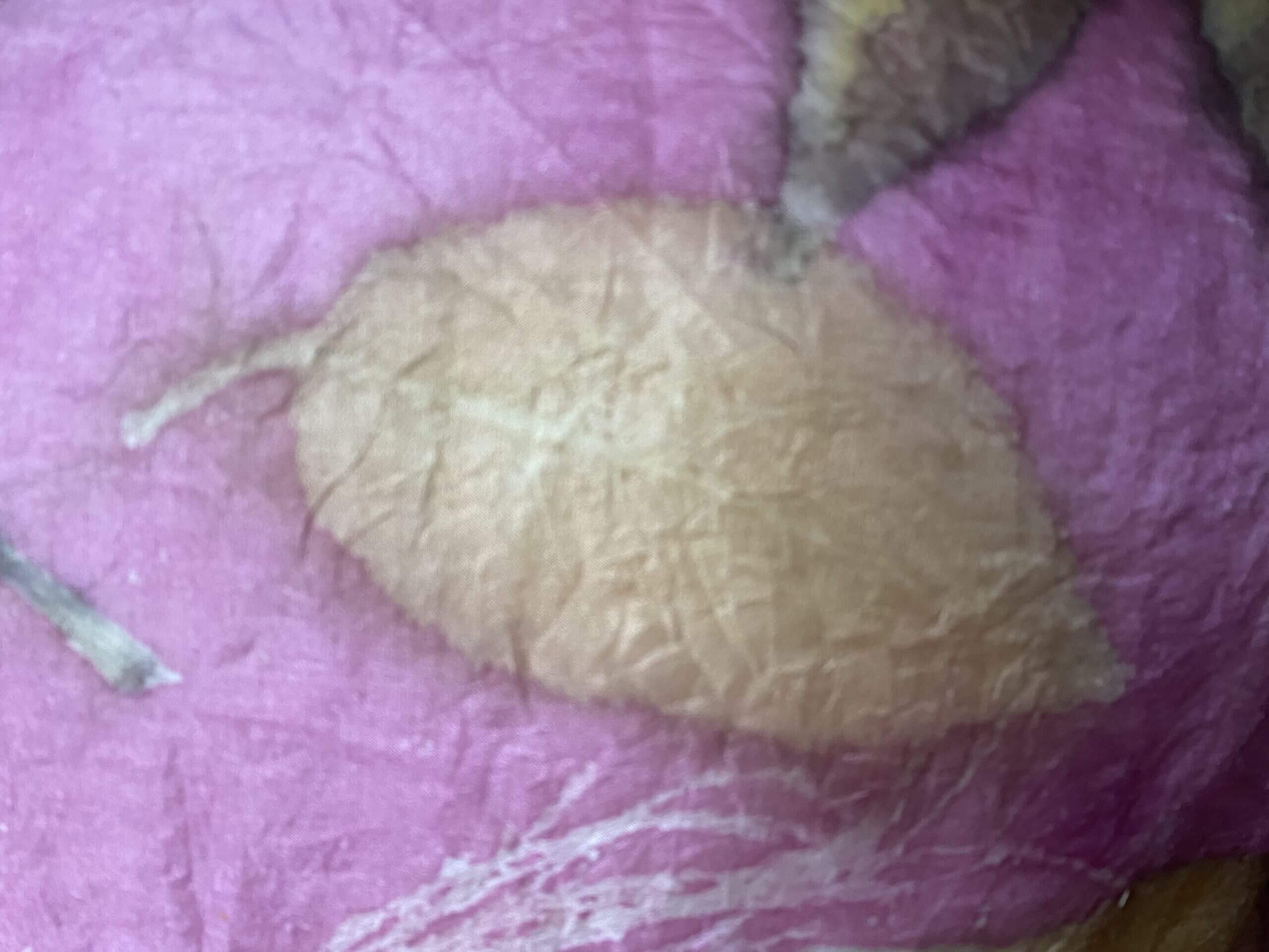 Yellow starfish – een lekkere ratjetoe