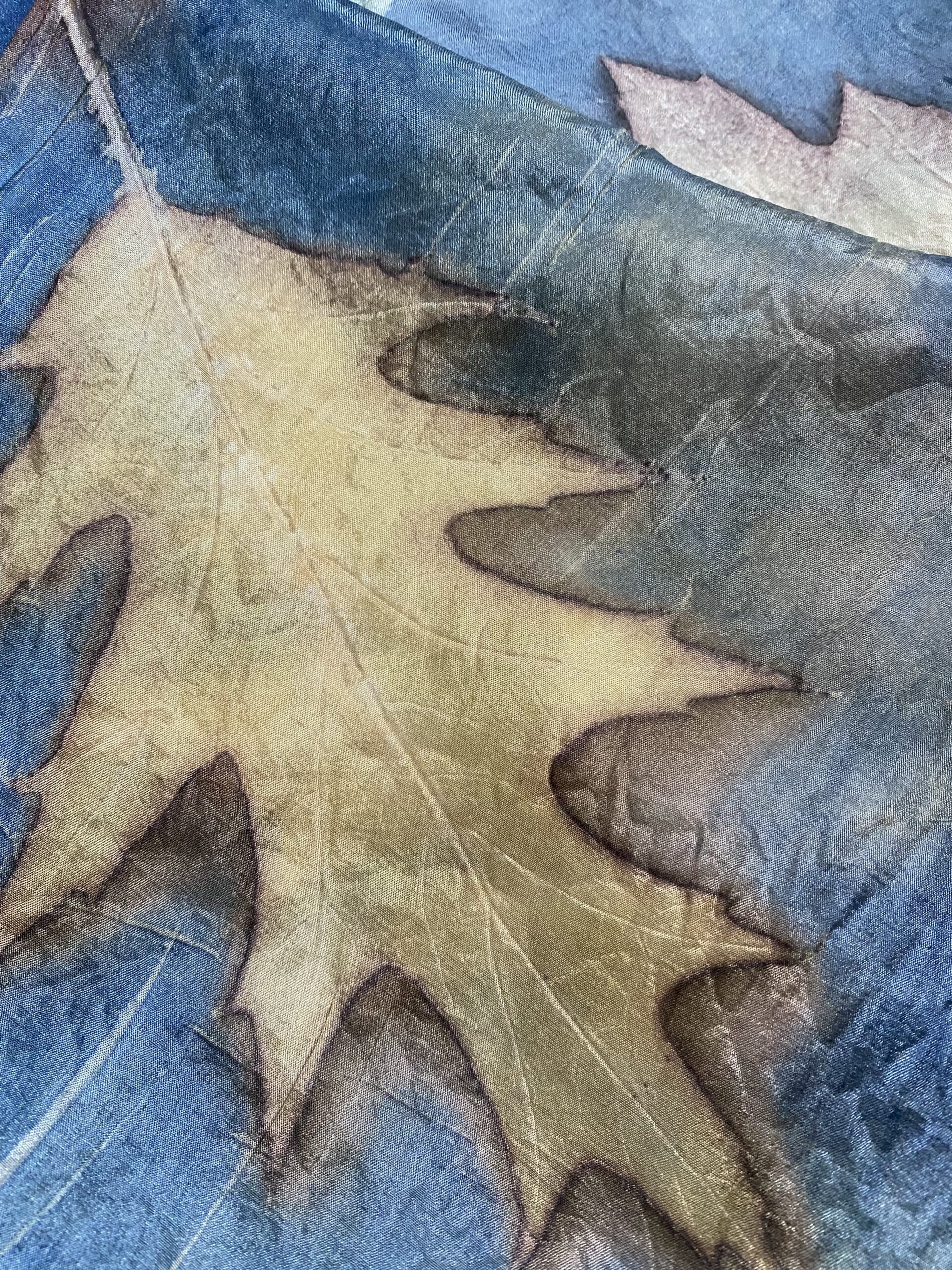 Souvenir uit de bossen bij Venray