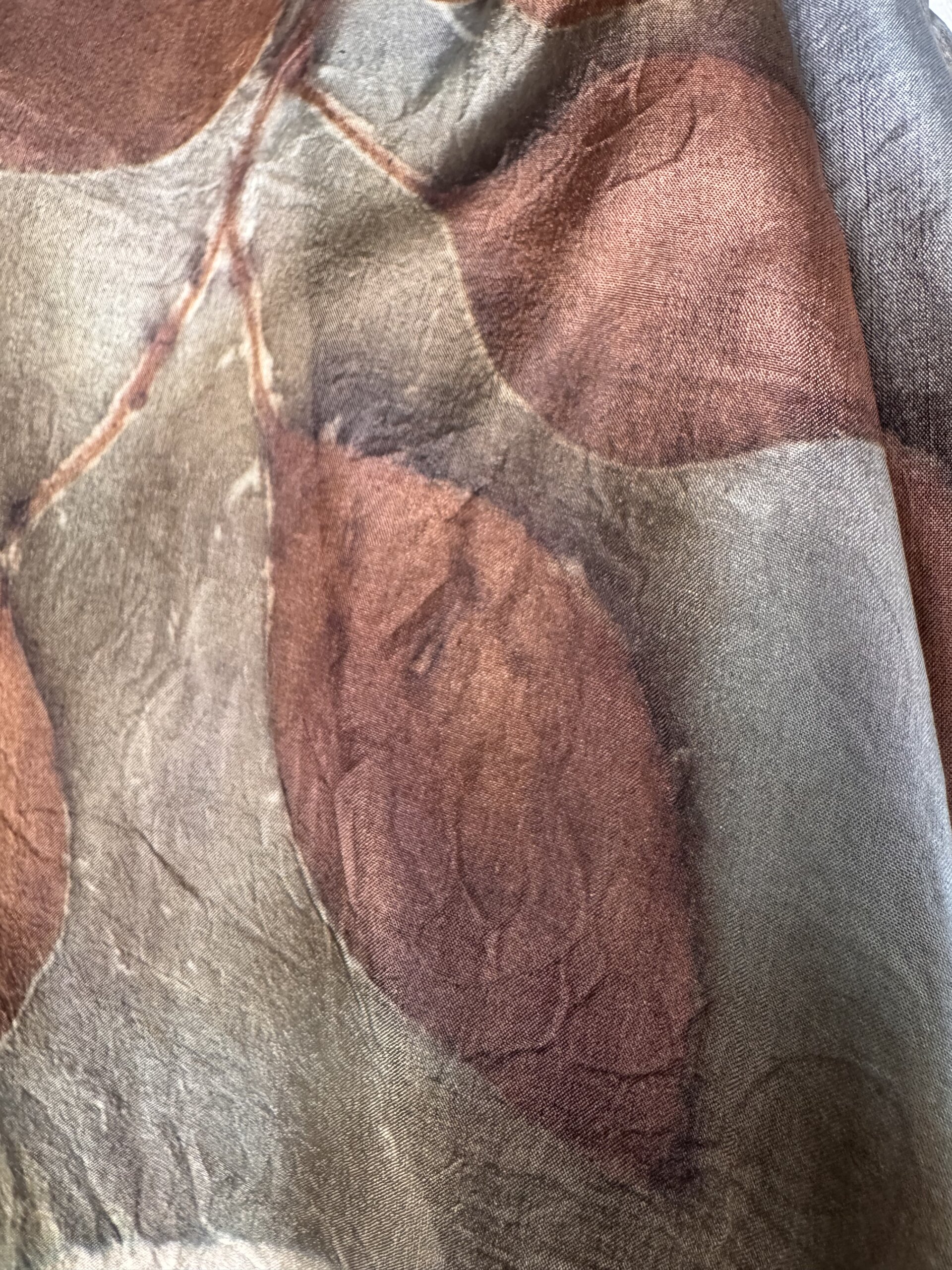 Eucalyptus in moonlight