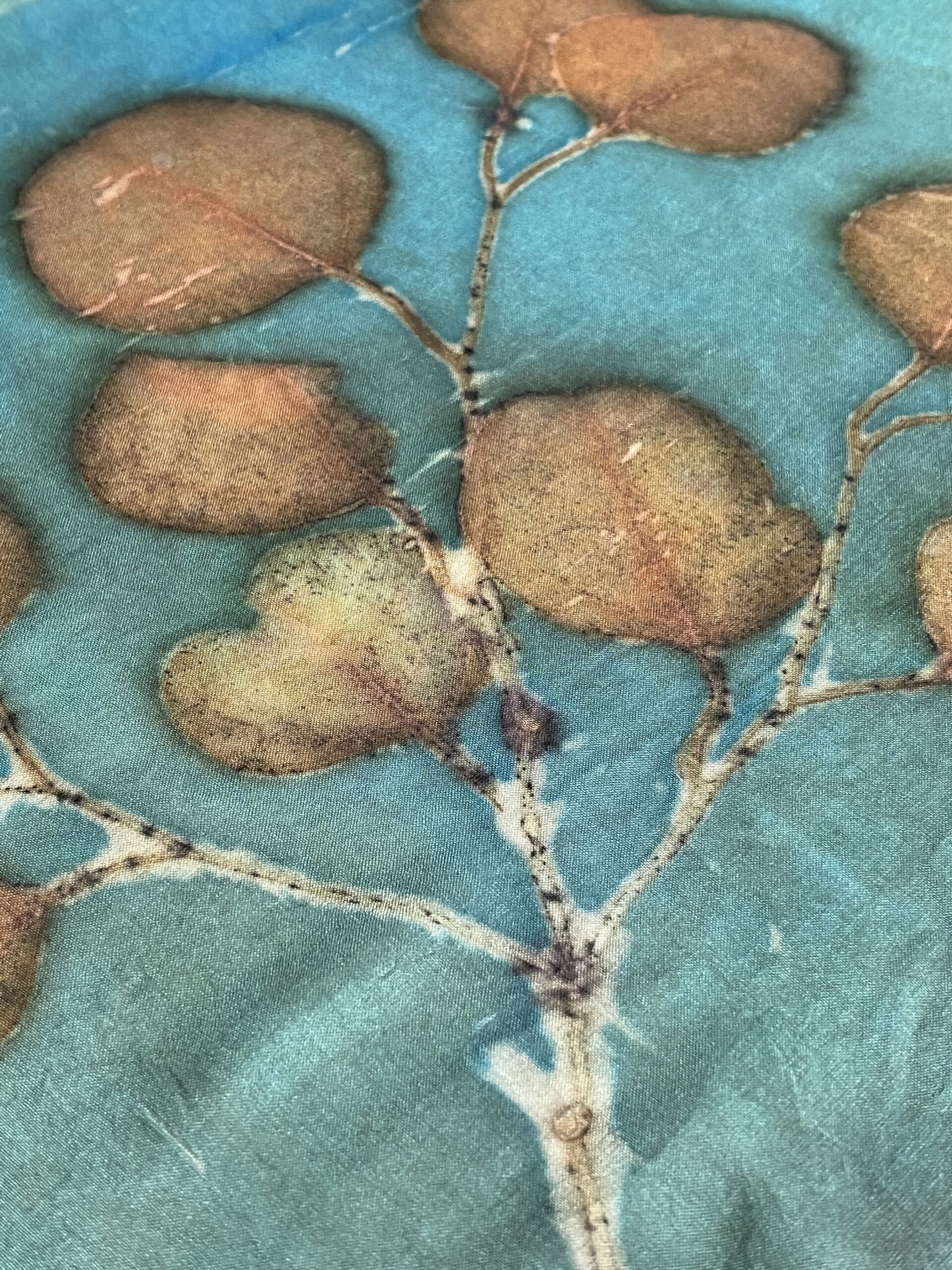 Exciting Eucalyptus in blue