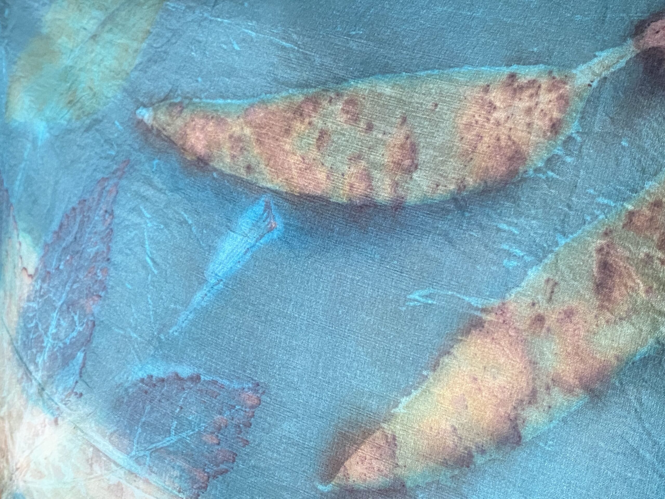 Bijzondere vijg met walnoot