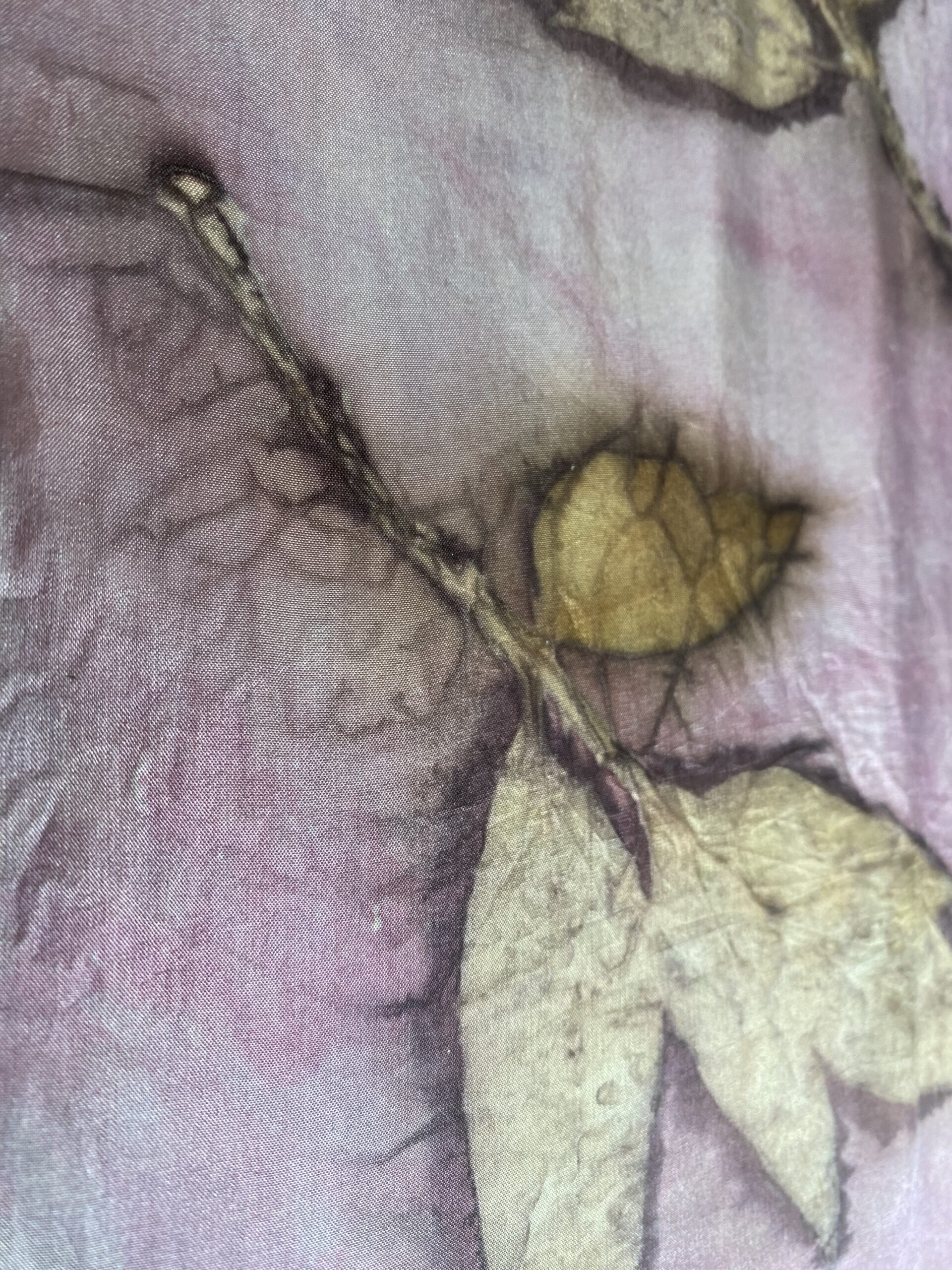 Reminding us of dear Elly