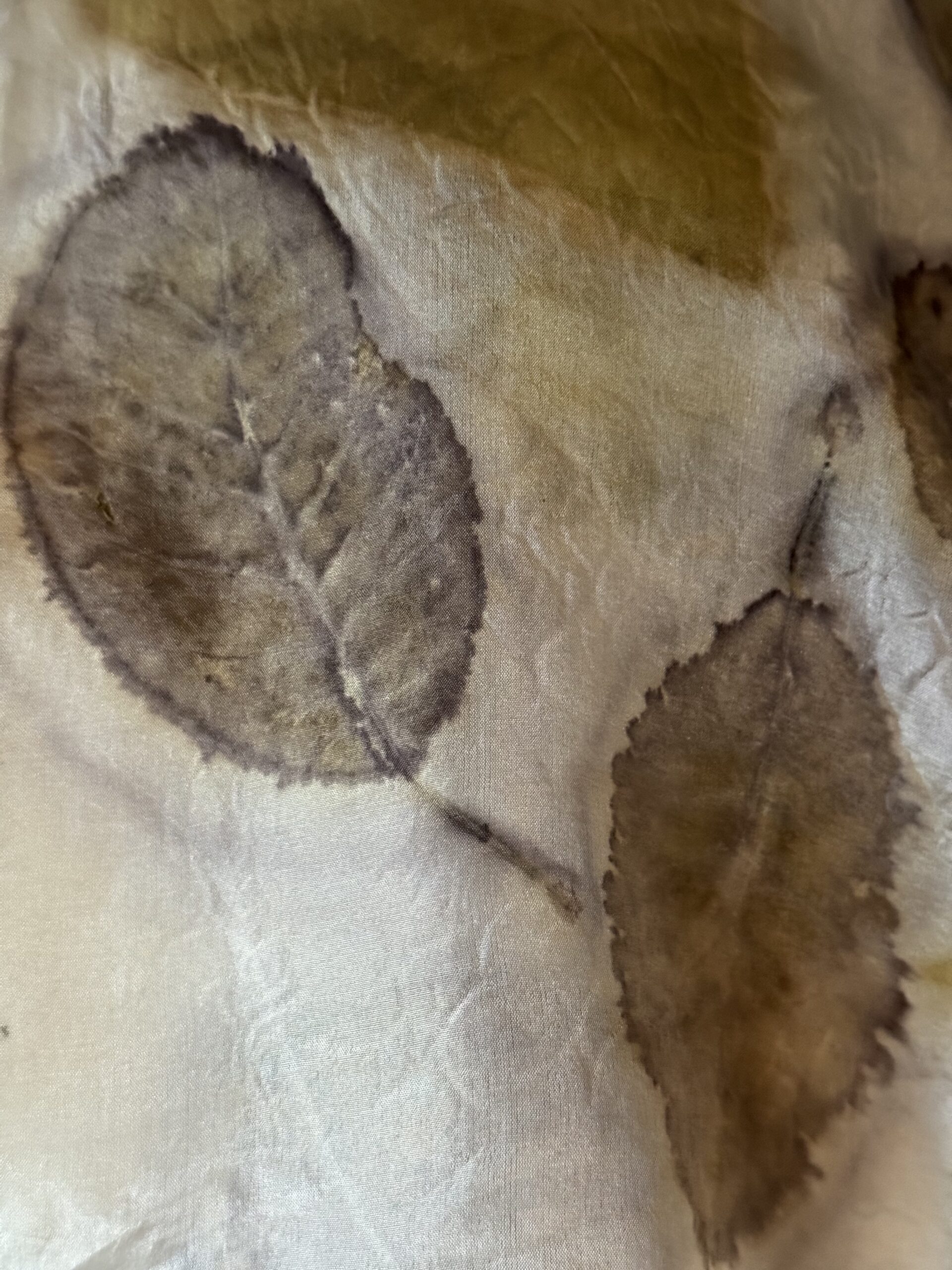 Silky Leaves natural watercolors