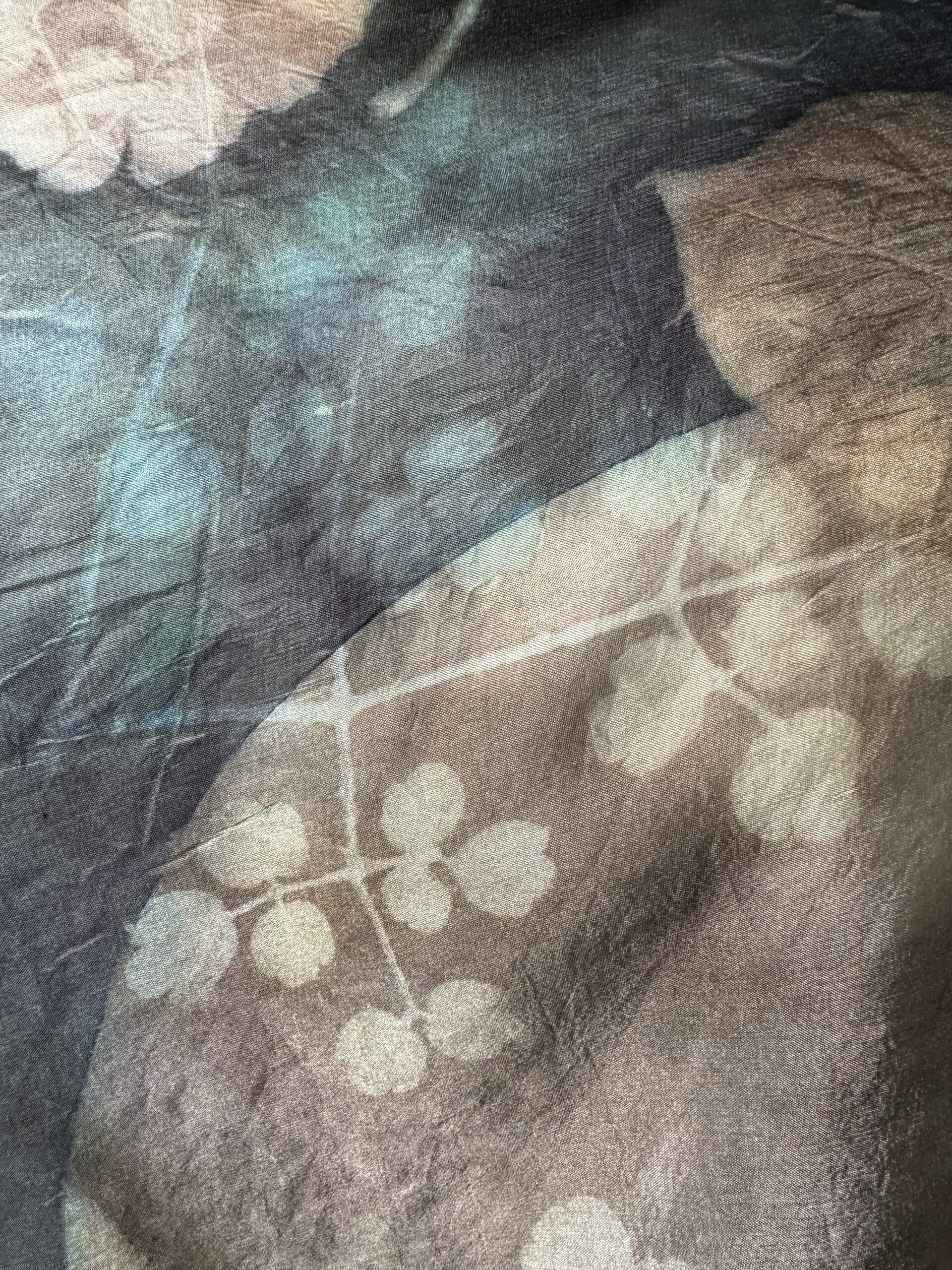 All the way from Florida!