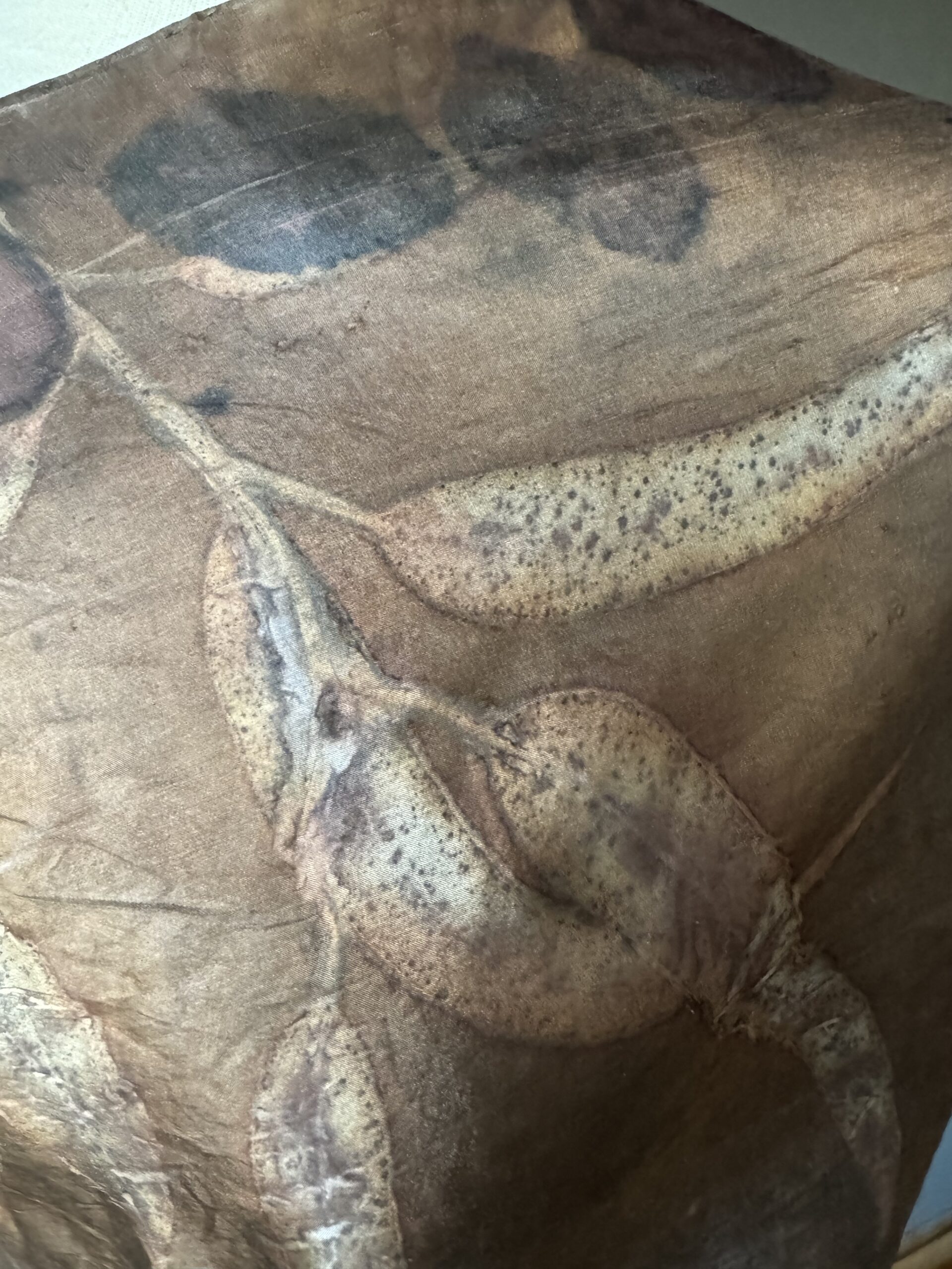 Friendship with Acacia tree