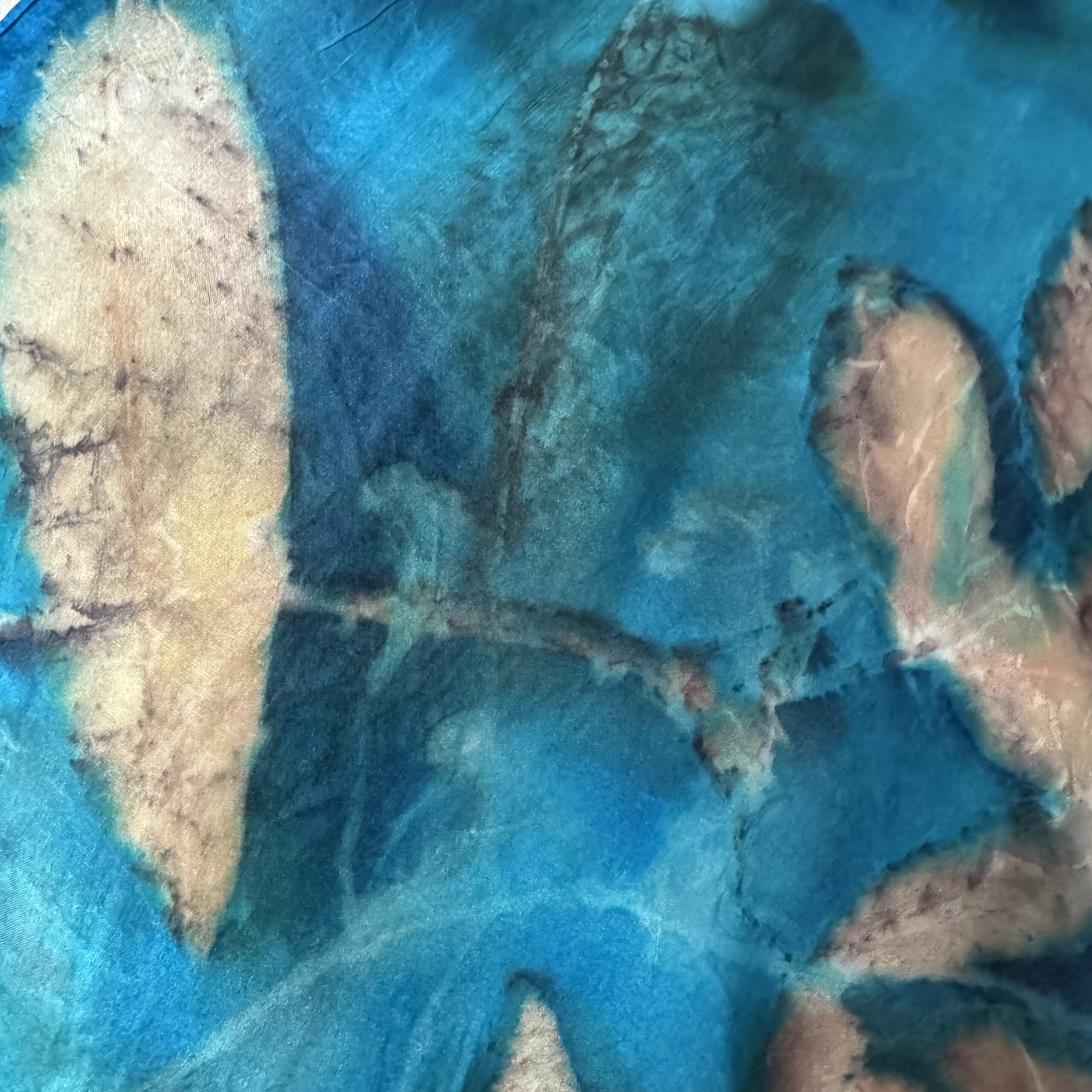 Watercolor of our plane tree