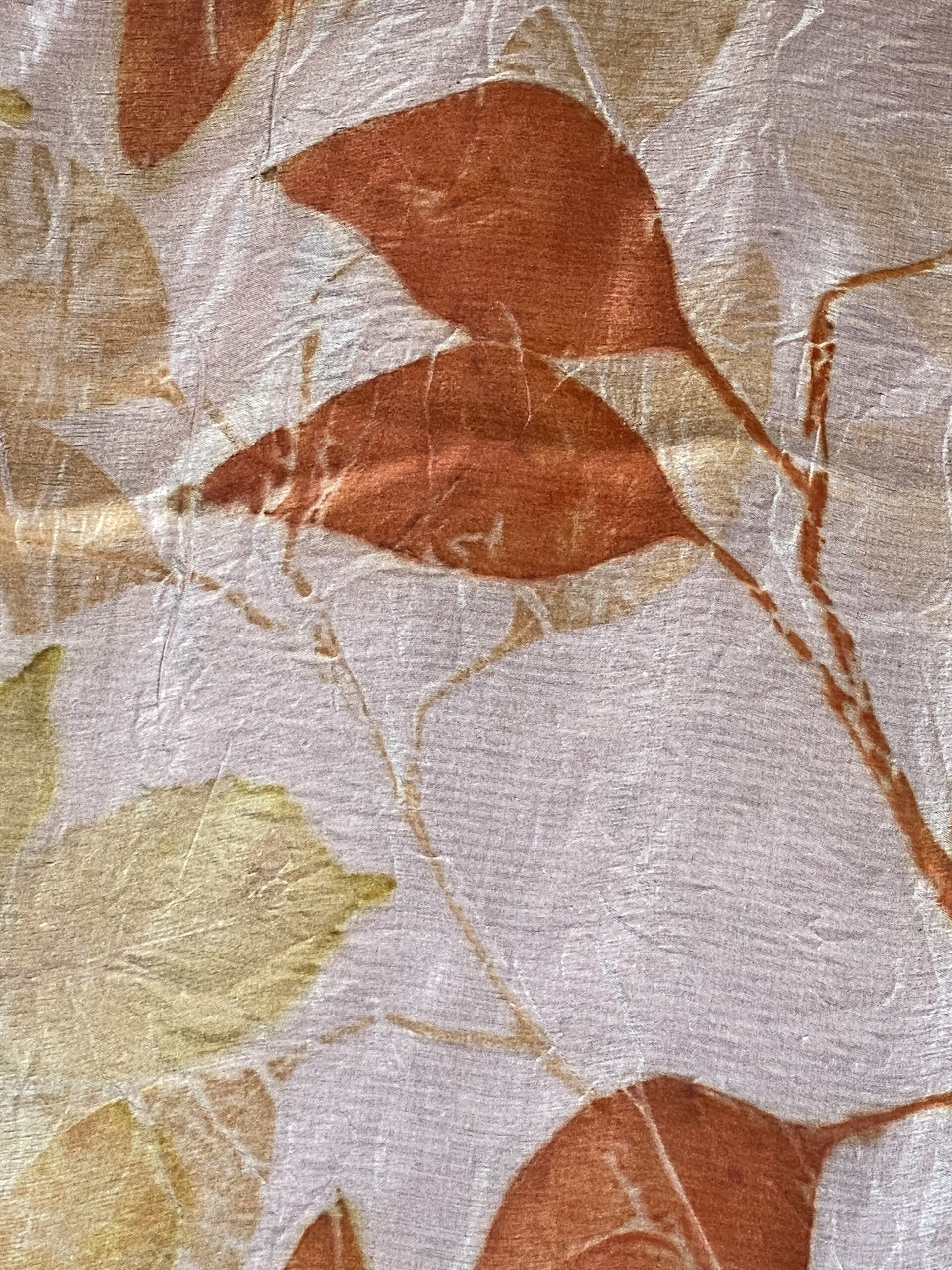 Eucalyptus Double Dutch